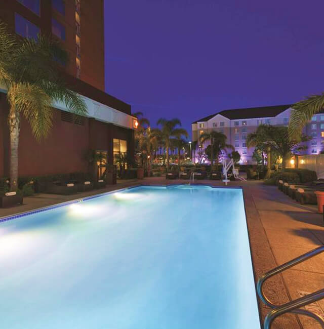 ice-33079-99109426-314985 1